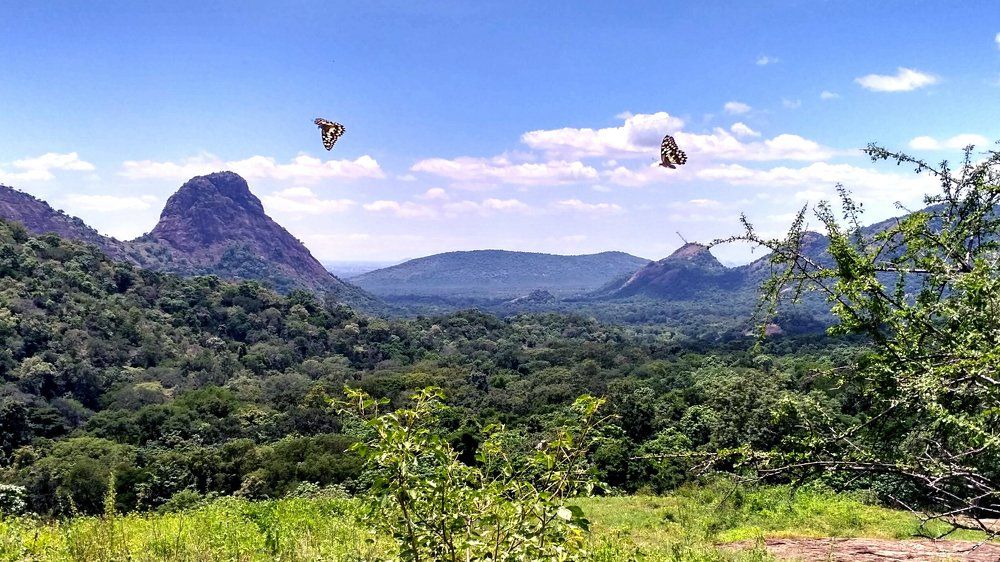 Love is endless Journey