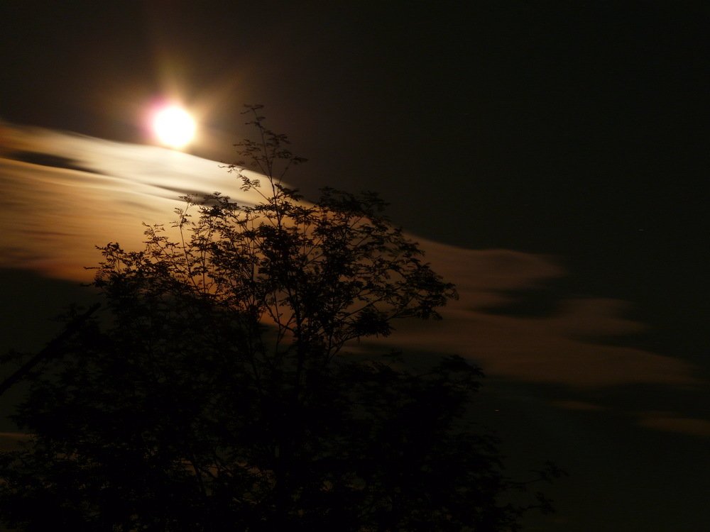 Лунная ночь