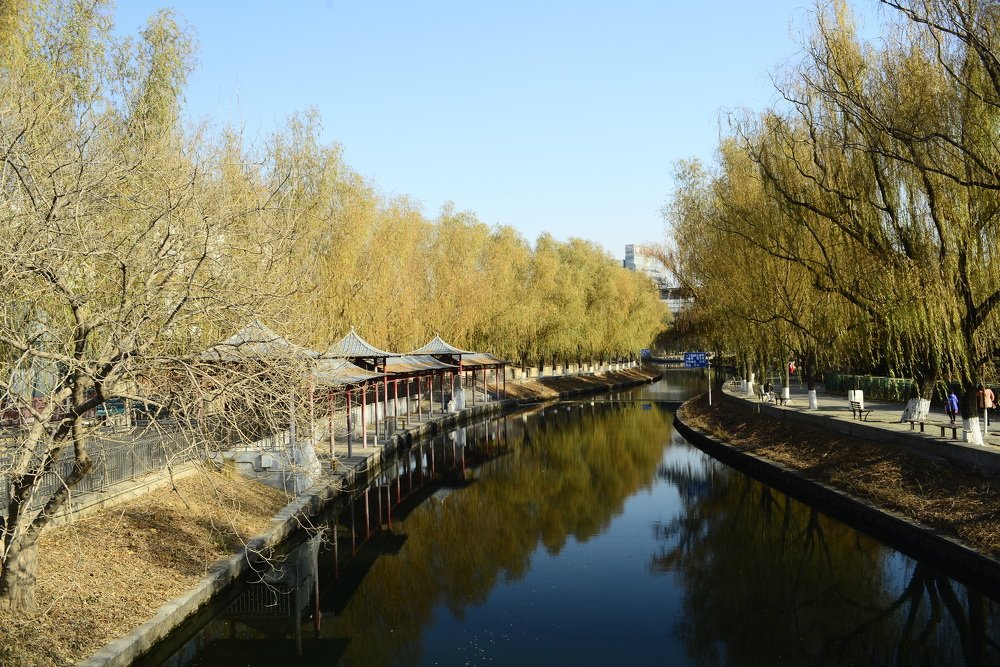 Фотография автора Медведев Сергей