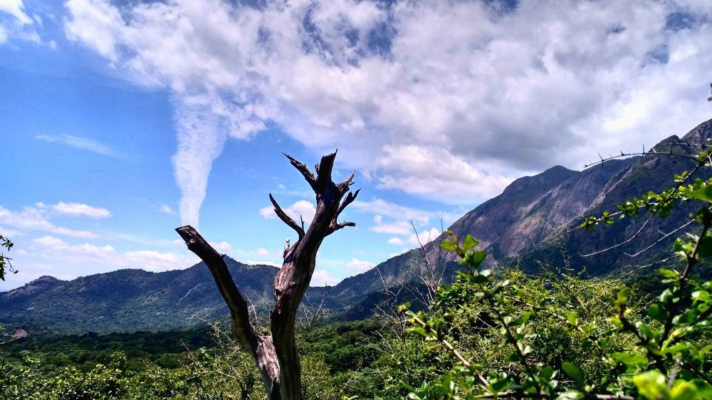 Imagination has No limit..