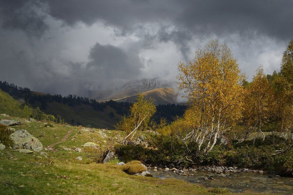 Хмурая осень