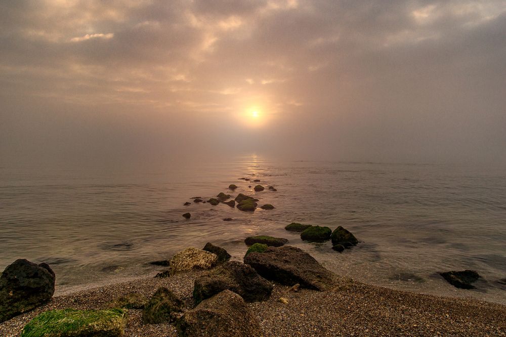 Дорога в туман