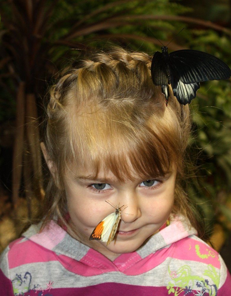 Радость. Музей Живых Бабочек.