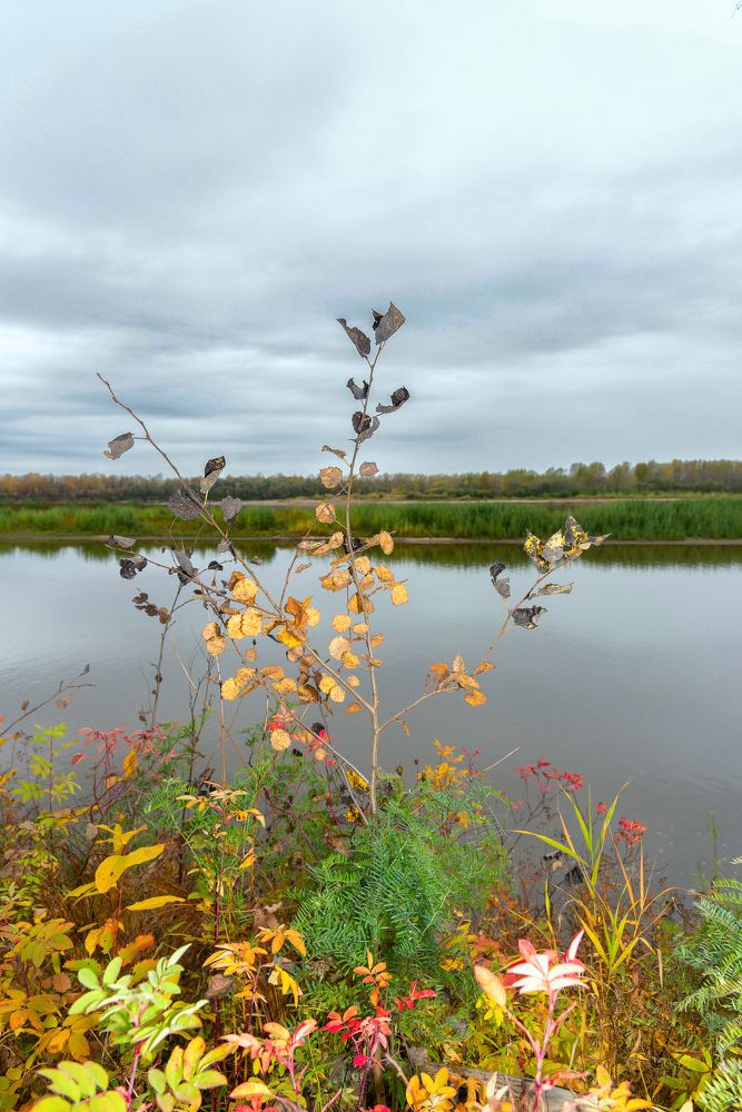Осенние краски