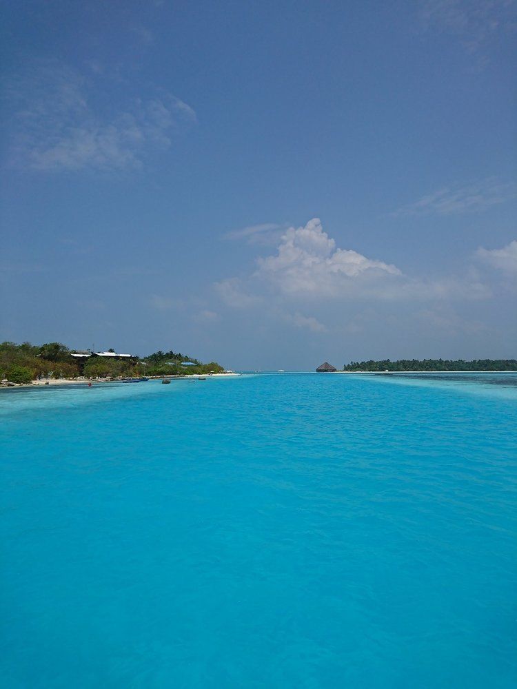 Island life