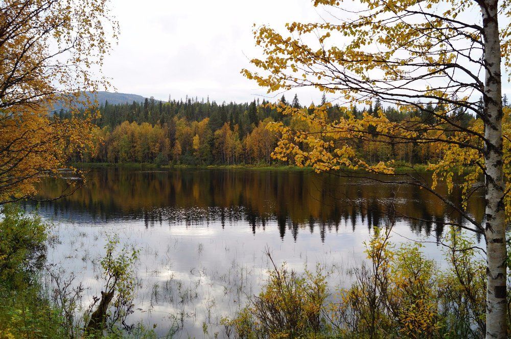 Photograph by Константин