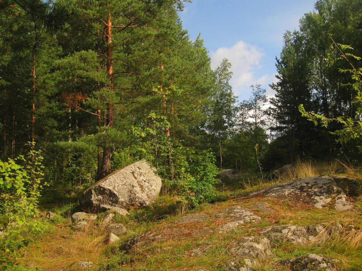 A ROCK