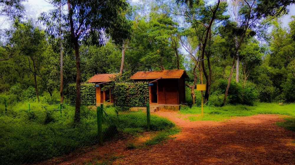 Forestry toilet