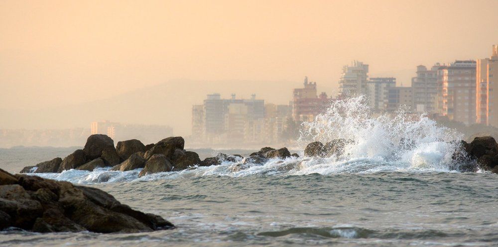 Утренние грёзы