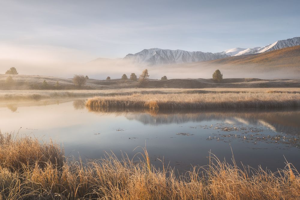 Туманный рассвет