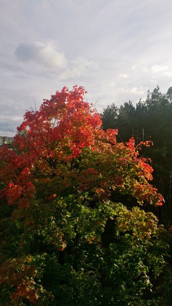 Photograph by Игнат Крошко