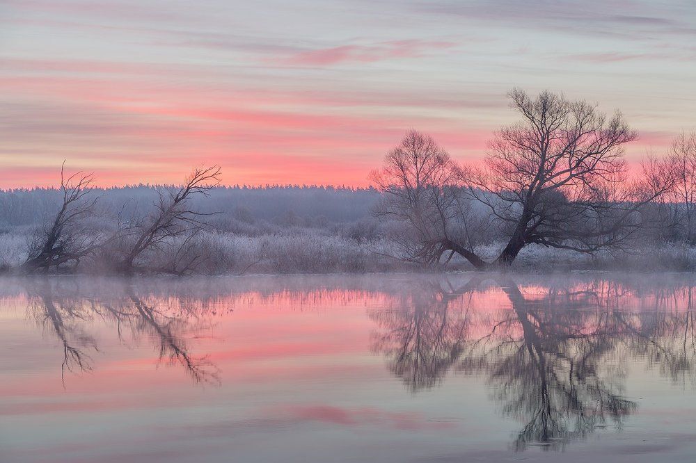 Утро в розовых тонах.