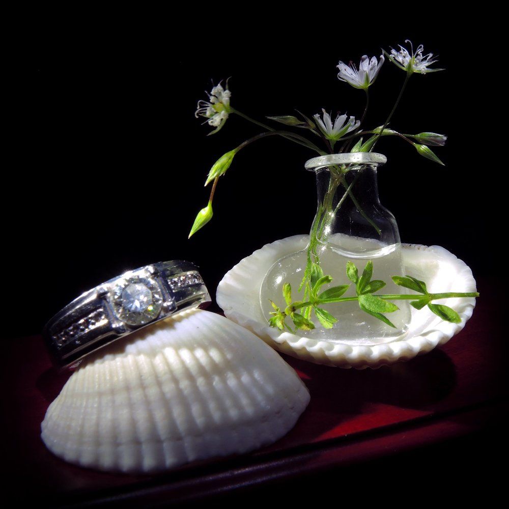 Макро-композиция с обручальным кольцом, ракушками и белыми цветами.