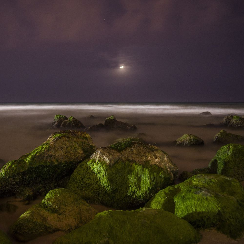 Photograph by Бадаев Антон