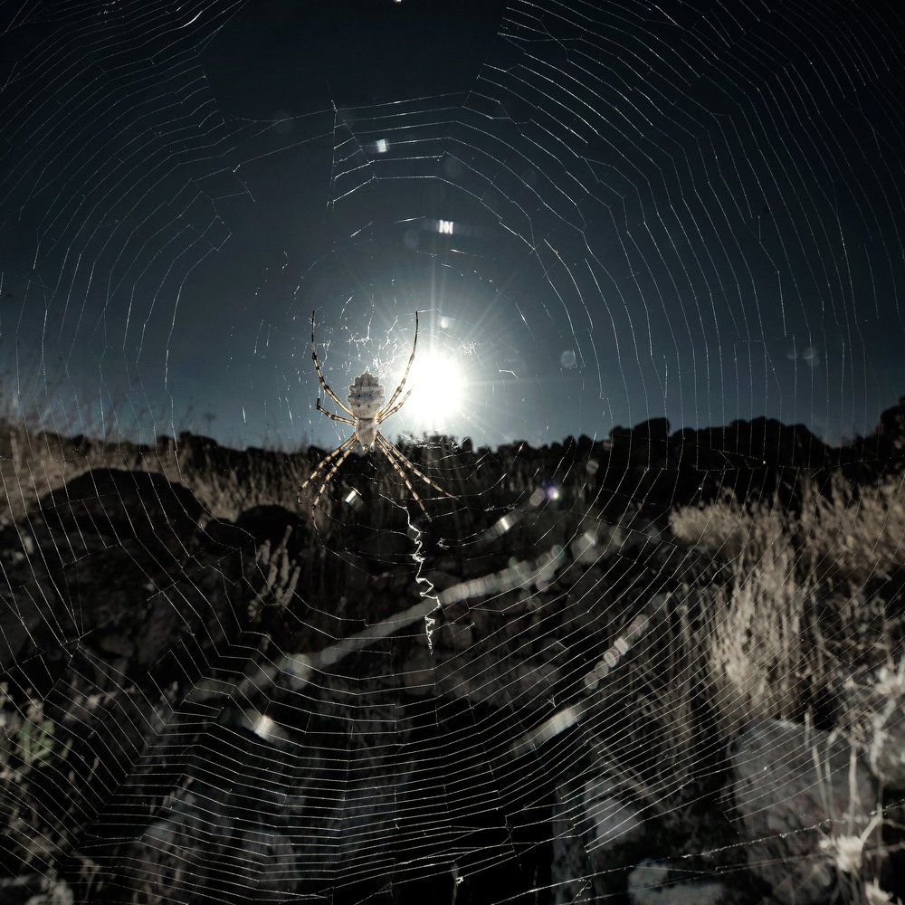 Фотография автора Анатолий