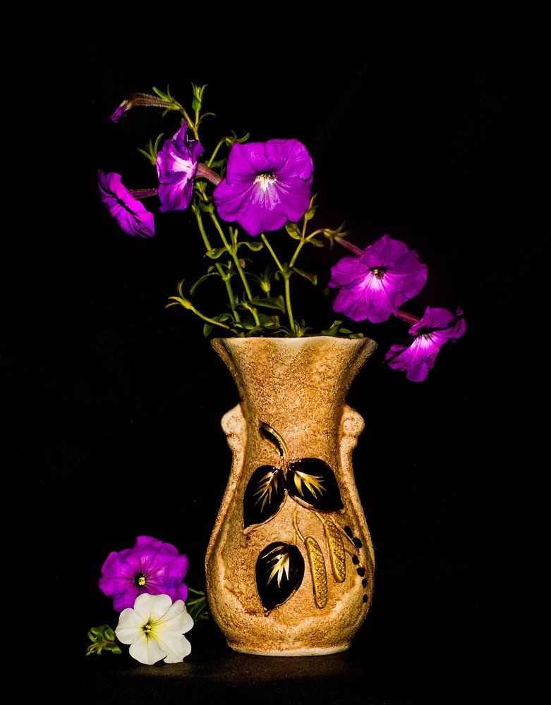 Photograph by Людмила Параскева