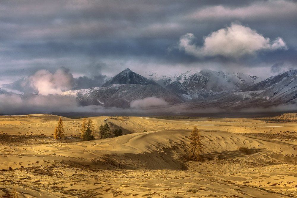 Золото Чары