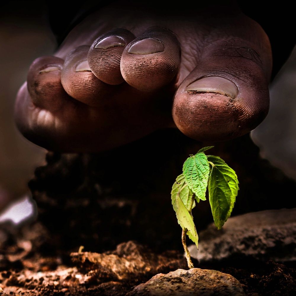 Photograph by Anuragteja.R