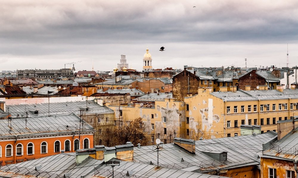 Крыши Петербурга