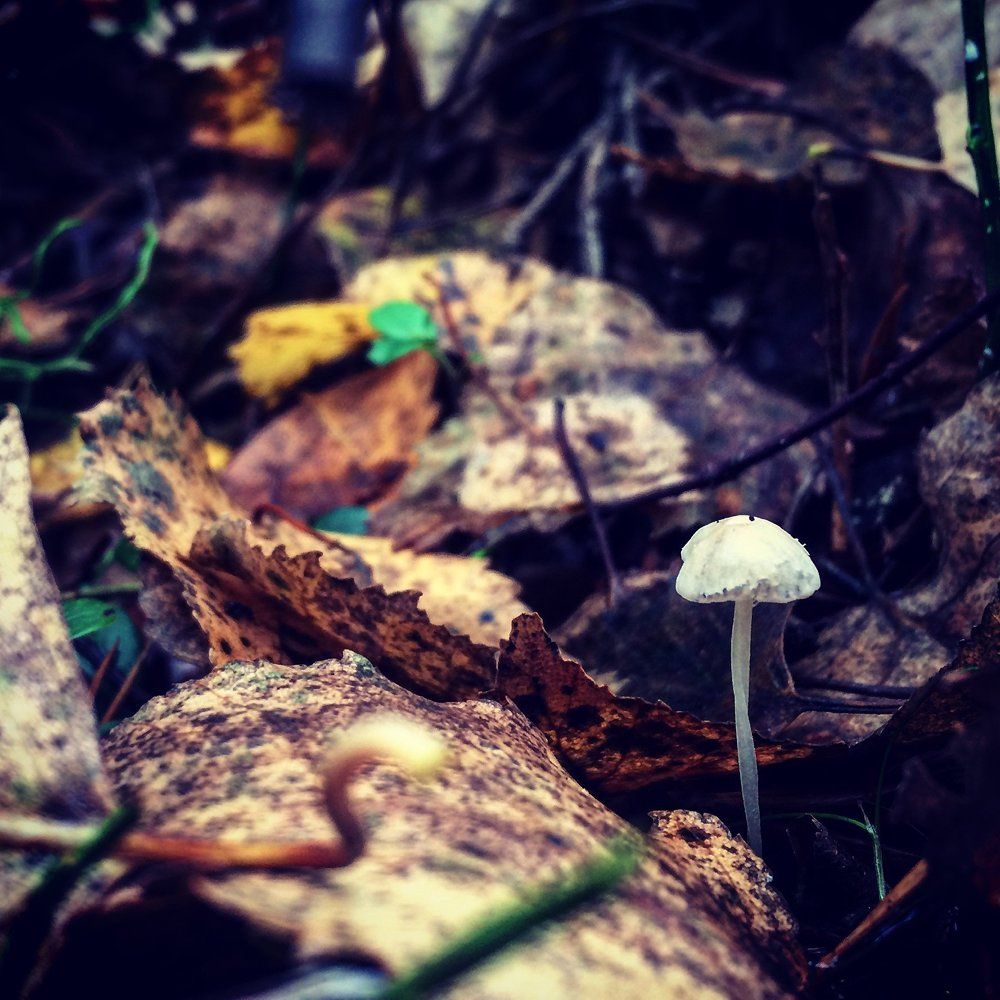 Одиночество