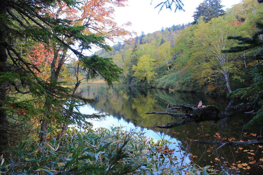 Сахалин.Озеро Подгорное