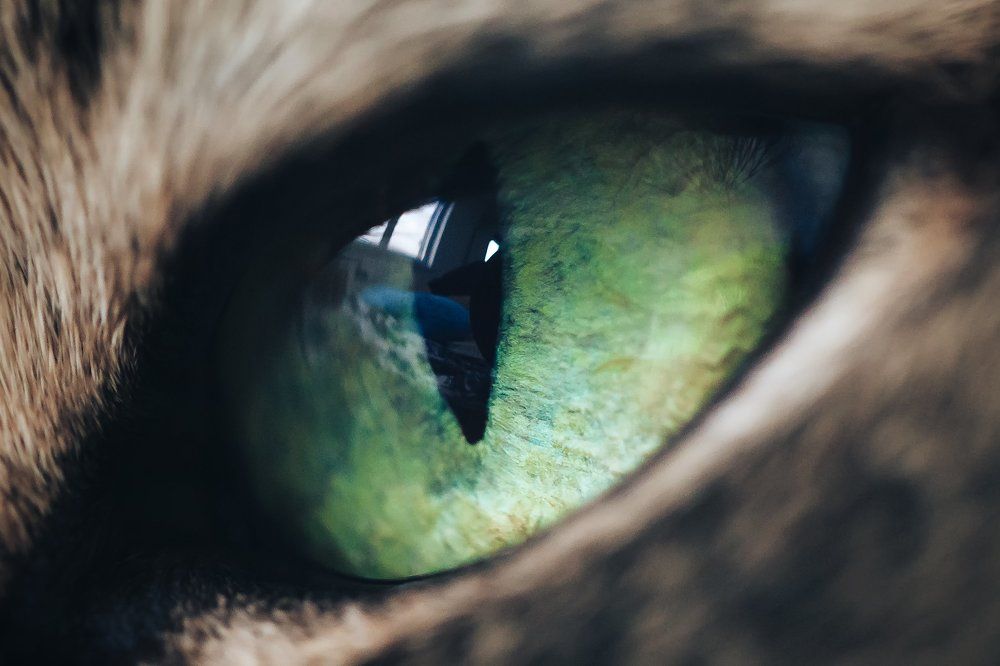 Photograph by Valery Kudryavtsev