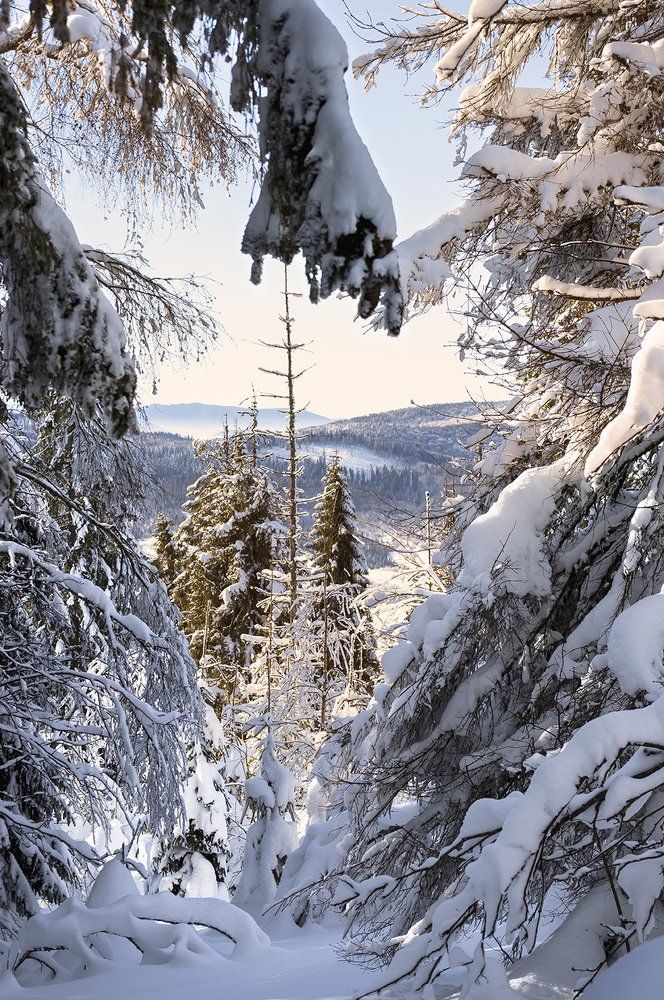 Photograph by Алла