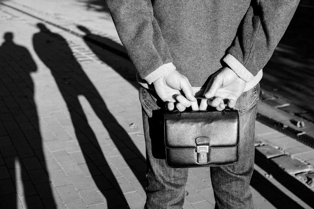 Барсетка в опасности // Purse in danger