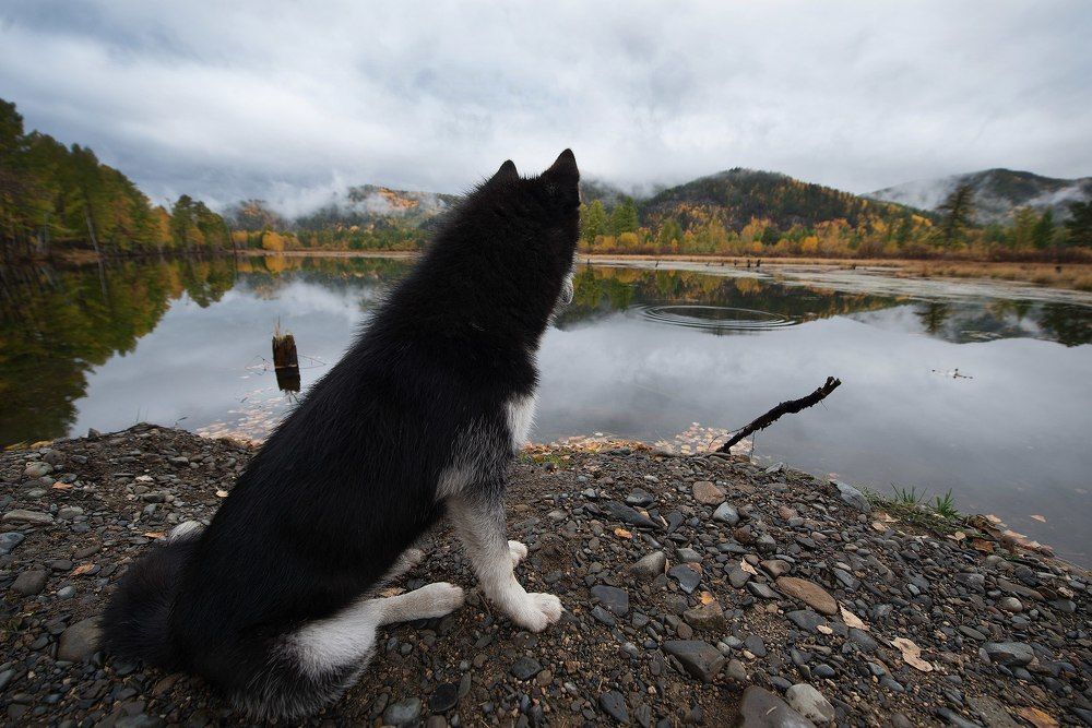Встречая осень с лучшим другом