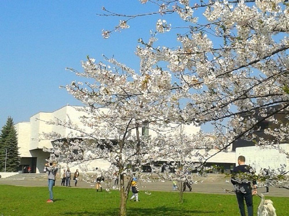 ЯПОНСКИЕ МОТИВЫ