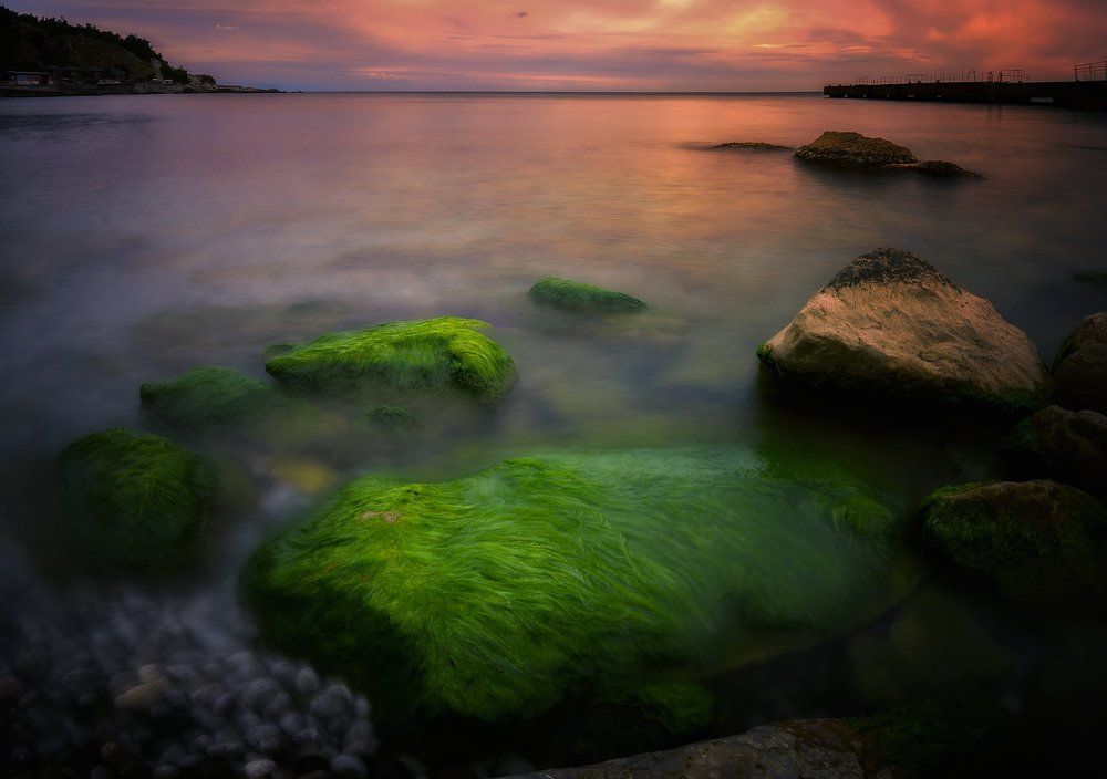 Мохнатая душевность