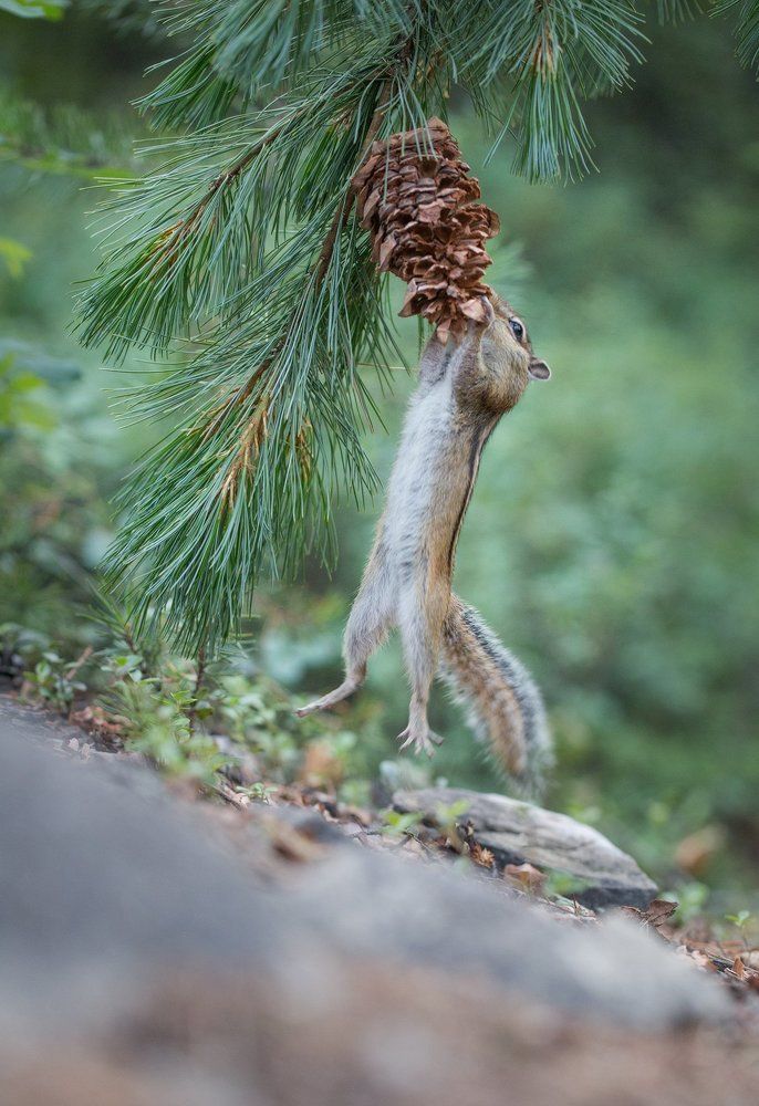 Все равно ты будешь моей!