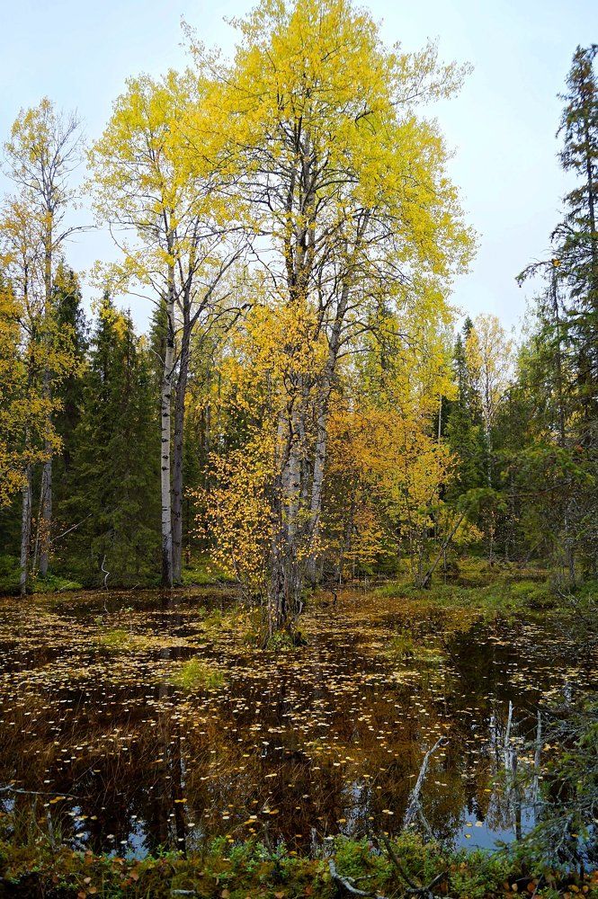 Photograph by Константин