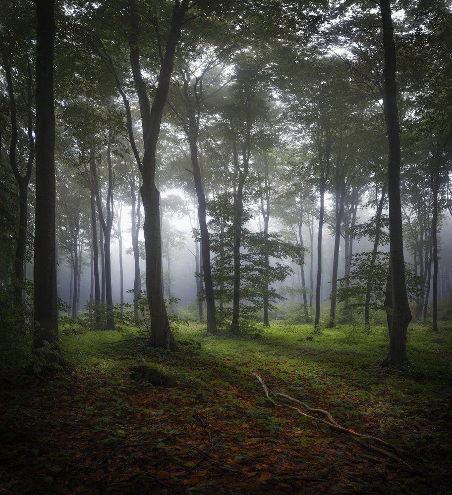 Обиталище медведя