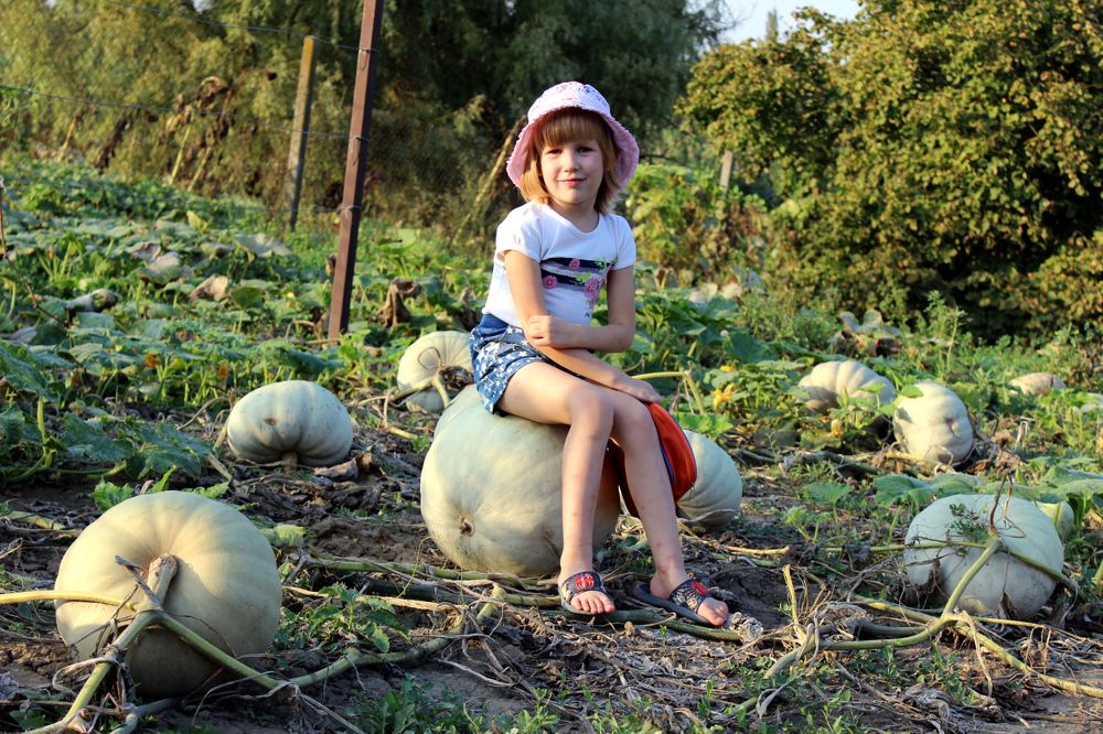 Photograph by Колесник Татьяна