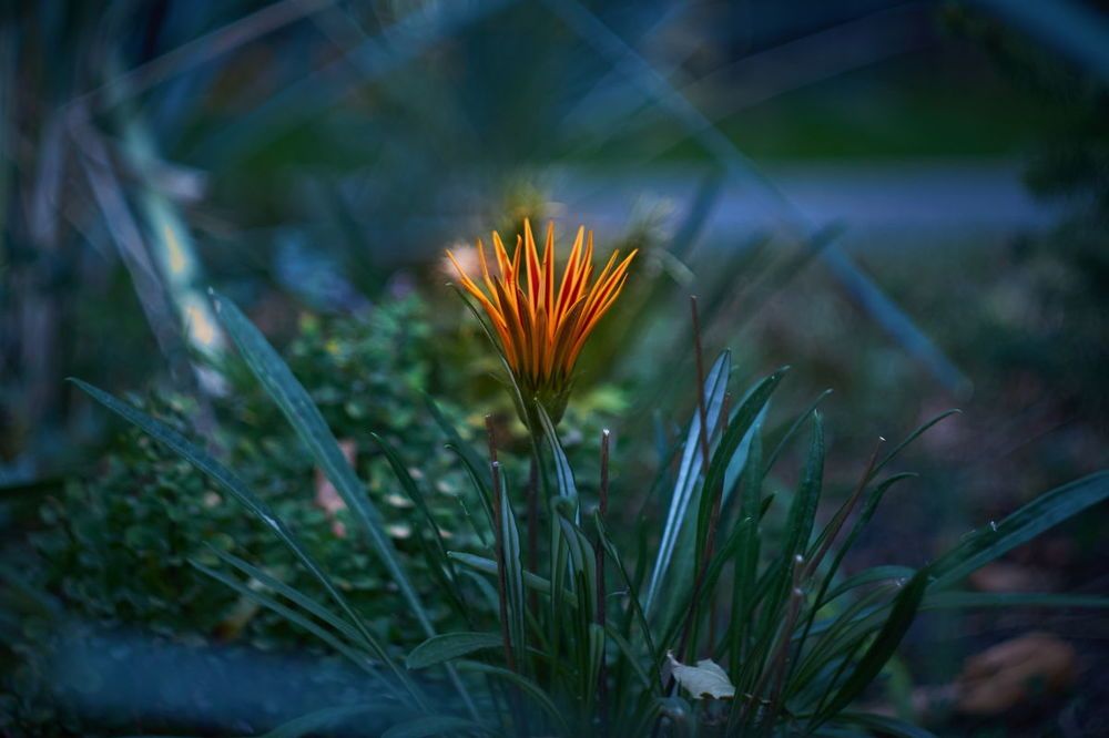 Photograph by Евгений Лобойко