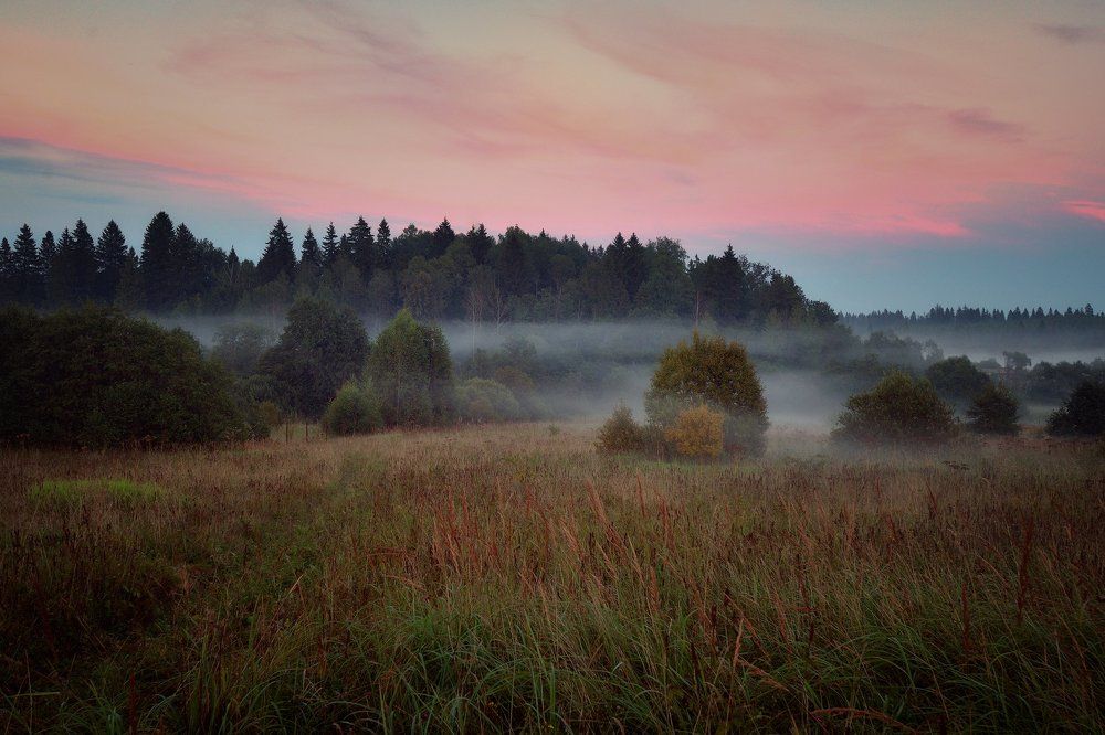 Теплым вечером