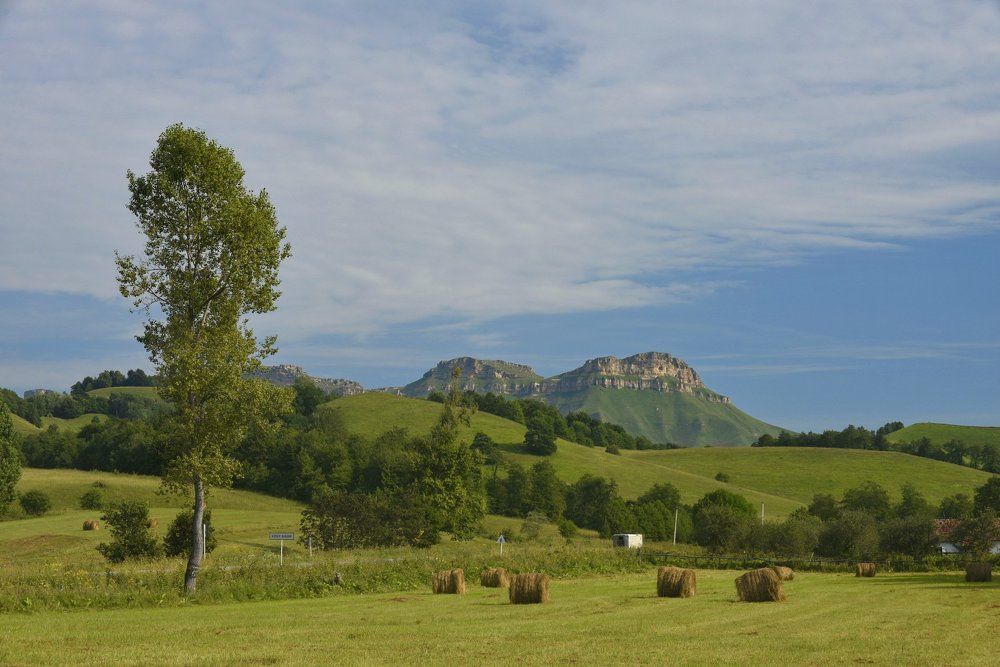 Фотография автора Медведев Сергей