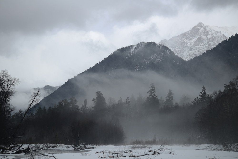 Фотография автора Медведев Сергей