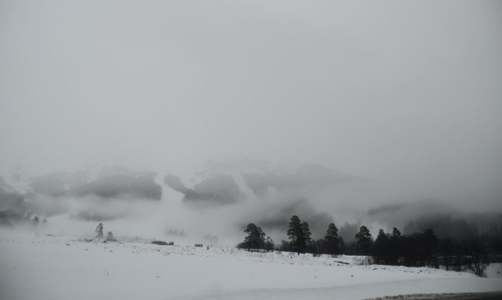 Фотография автора Медведев Сергей