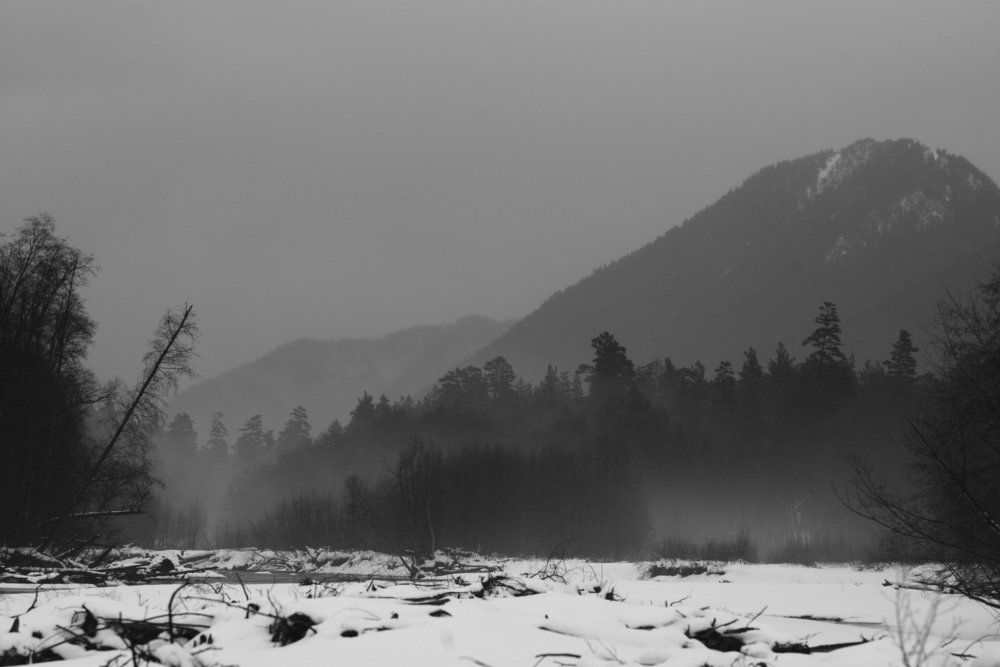 Фотография автора Медведев Сергей