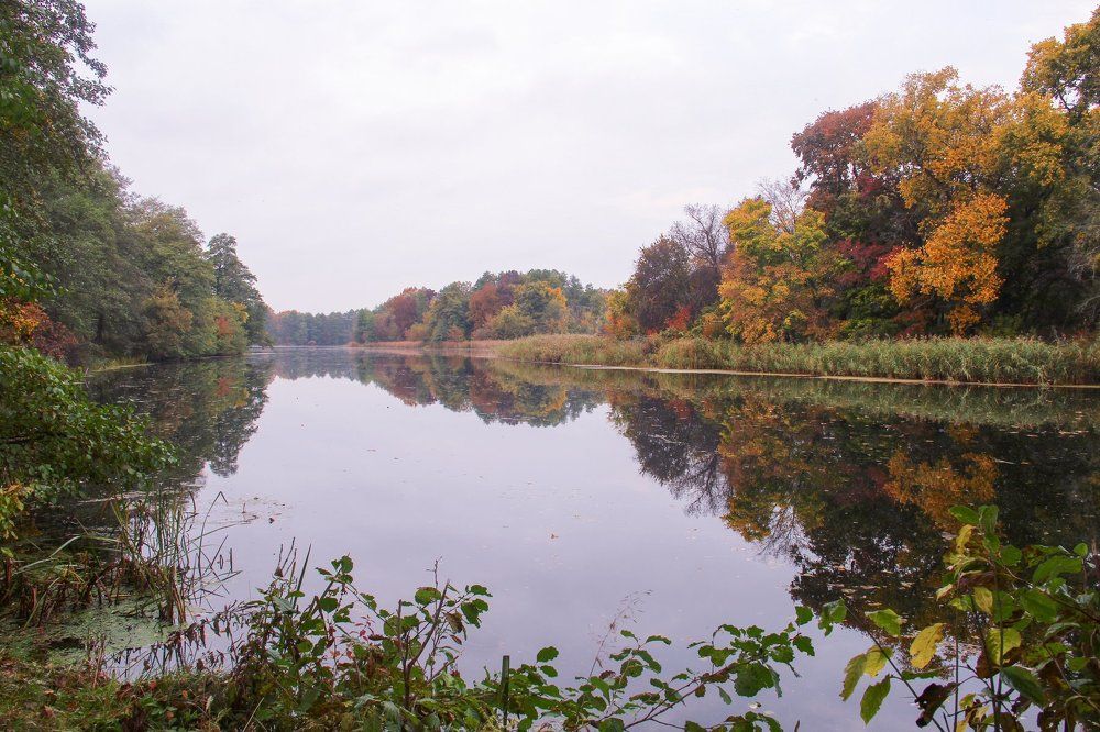 Photograph by Жукова Галина