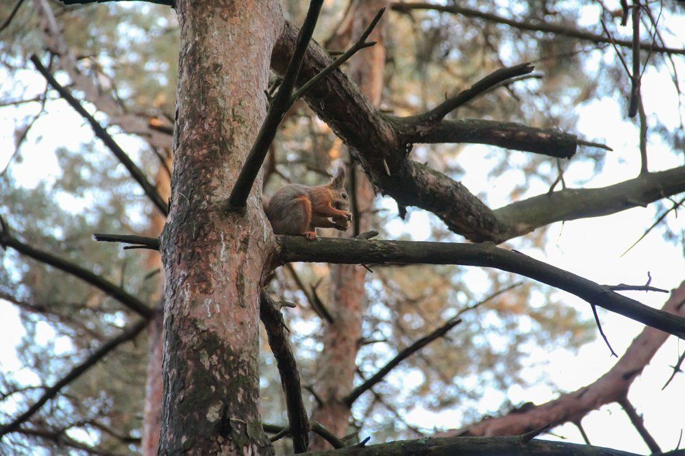 Photograph by Жукова Галина