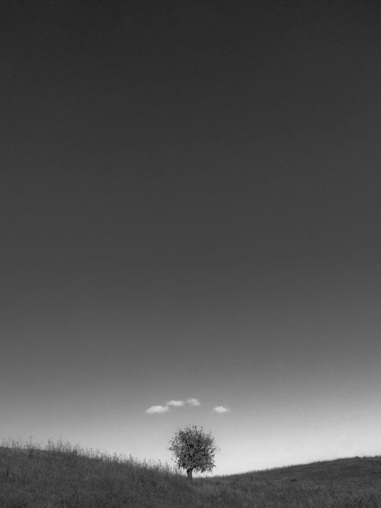 Photograph by Анатолий Мироненко