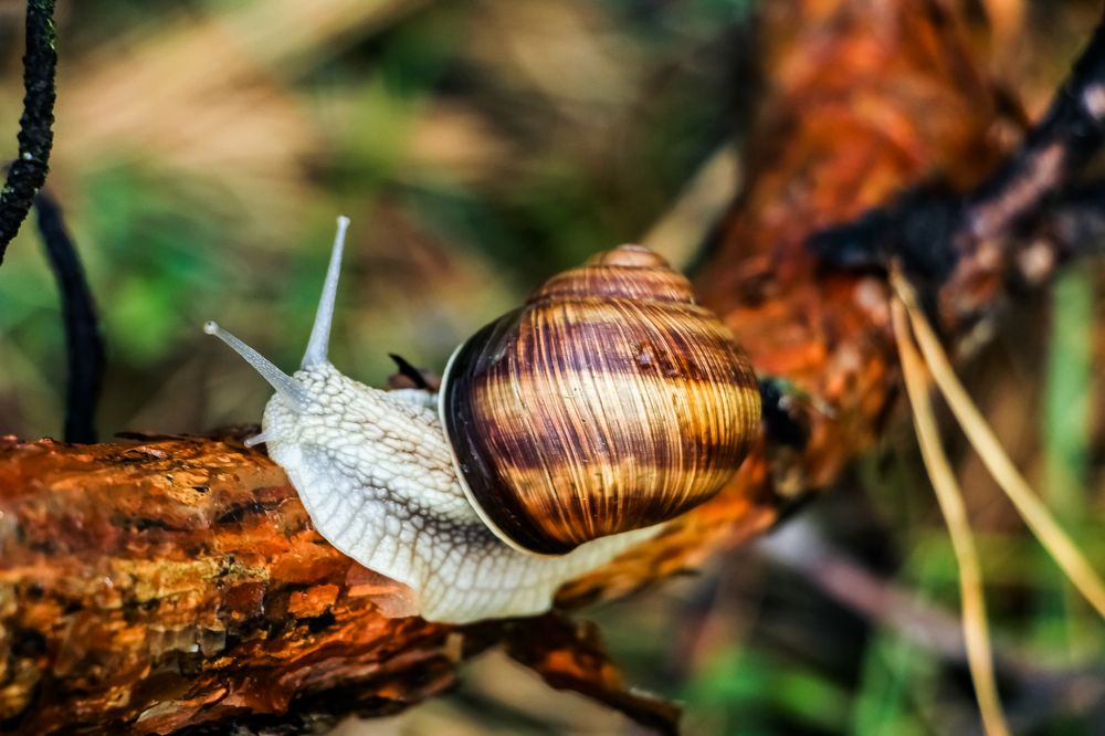 После дождя