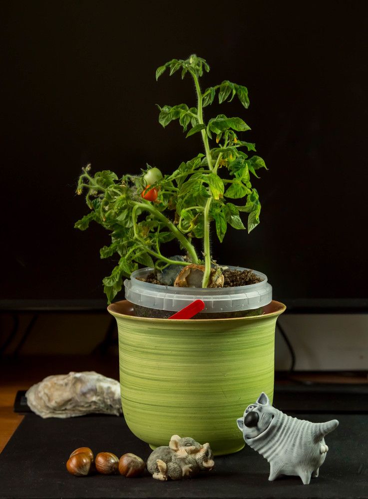 а за окном март