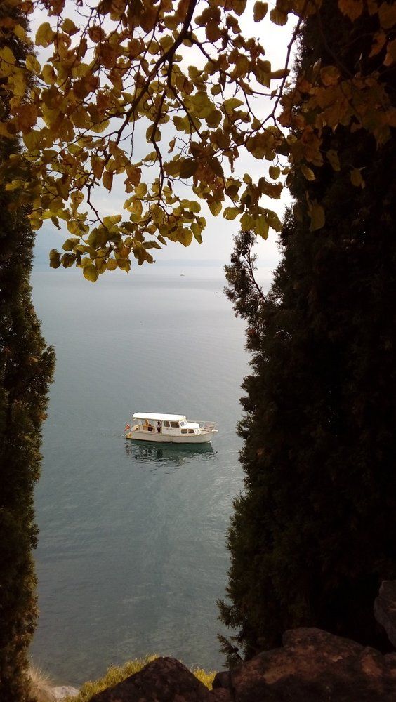 Катер на озере