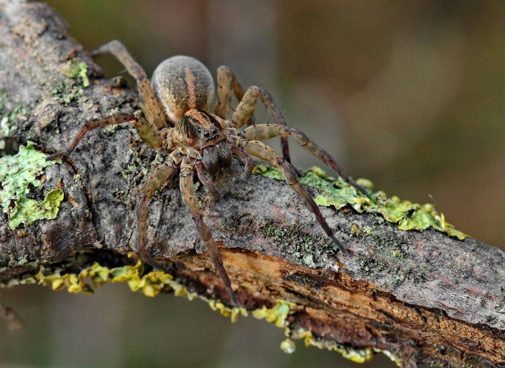 Photograph by Игорь Осипов