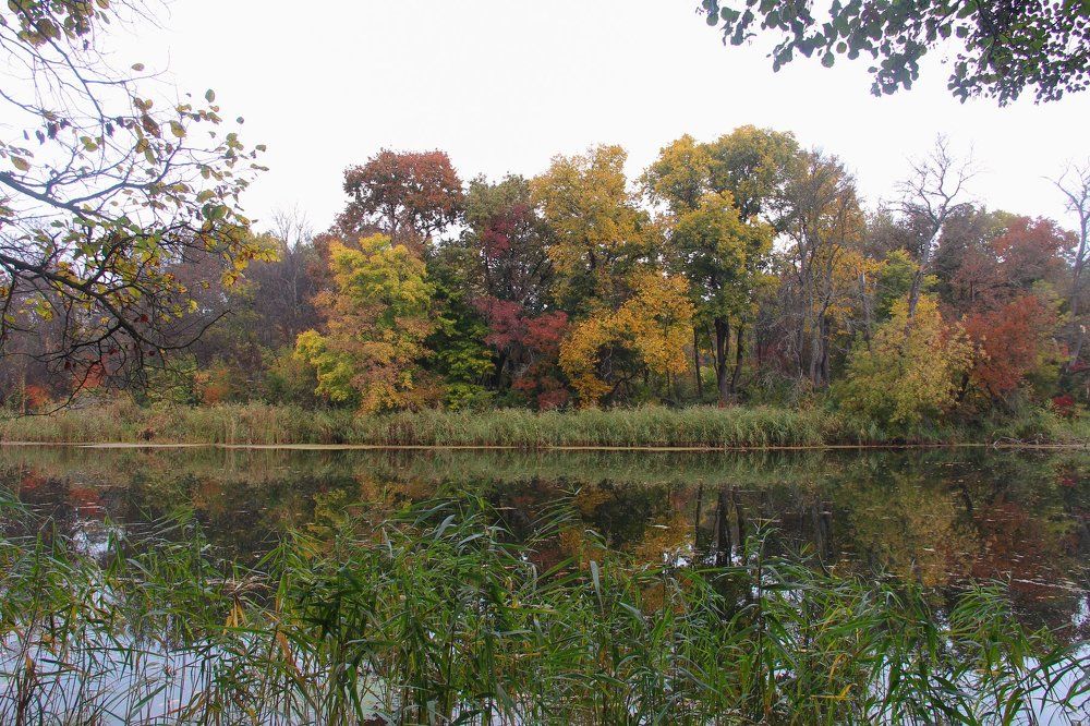 Photograph by Жукова Галина