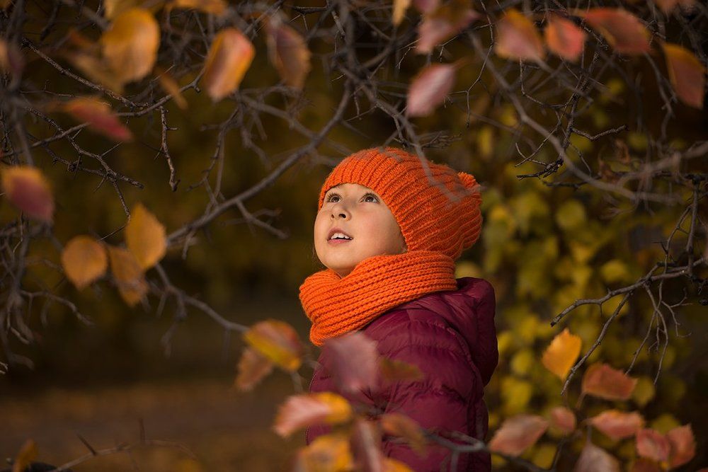 золотая осень